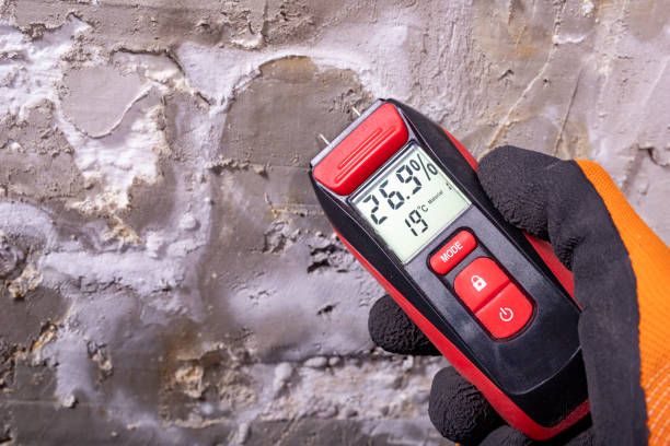 Best DIY Mold Remediation Support Services in North Potomac, MD